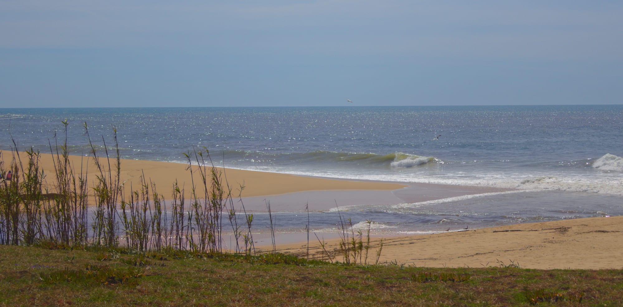 Dunas, Litoral norte