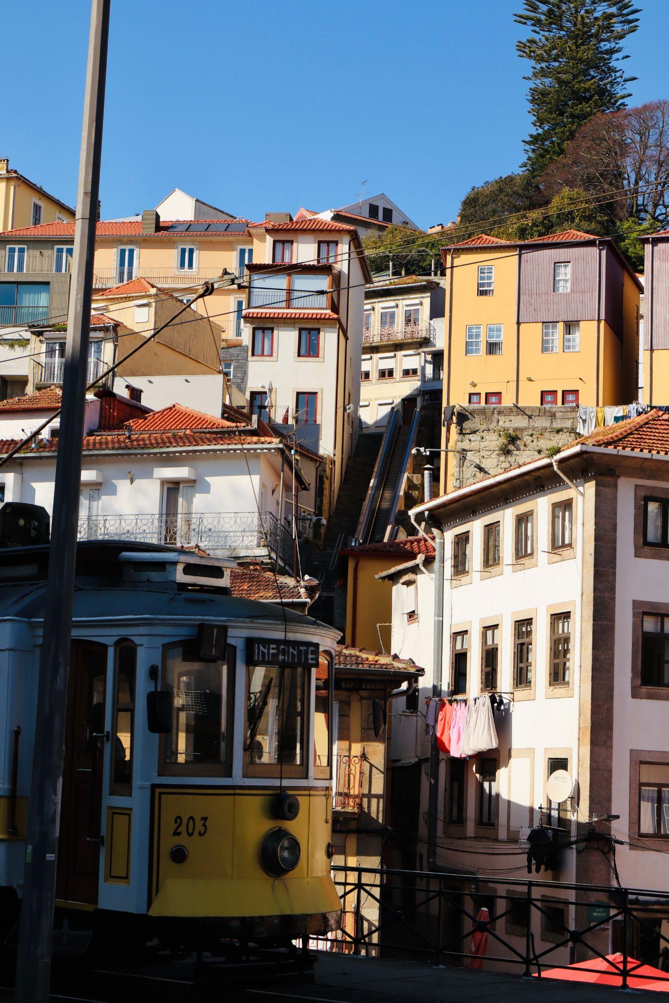 Infante 203, Porto