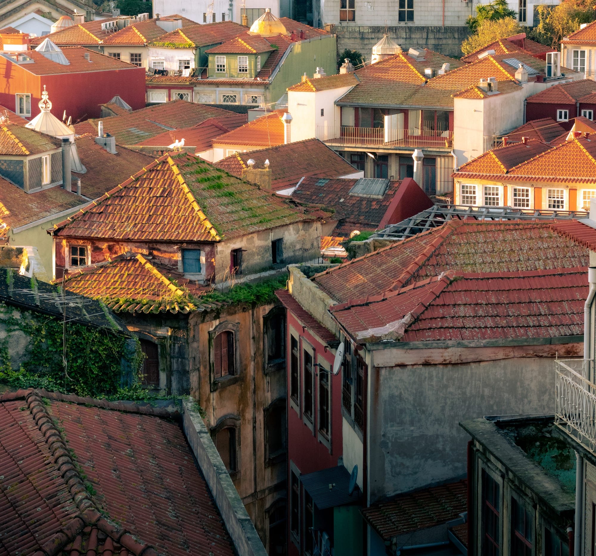 Telhados, Porto